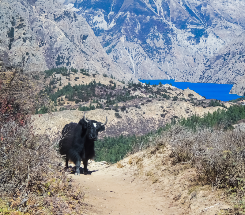 The trip you recommended was fantastic!