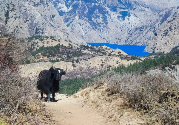 Lower Dolpa Trekking