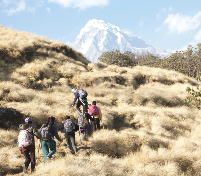 Mardi Himal Base Camp