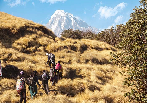 Nepal Solo Trekking: Why It’s Banned and What to do Instead?